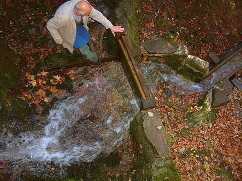 Beim Wasser-Einkehren